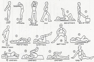 أنواع تدريبات الإطاله Stretches